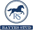 Rayyes Stud